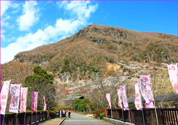 幕山梅公園入口