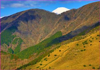 山の端に富士山