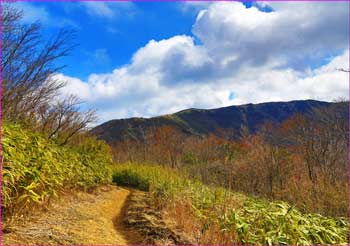 明神ヶ岳へ