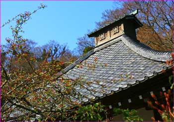 光則寺の屋根