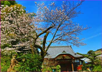 盛翁寺