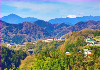 富士見桜から富士展望