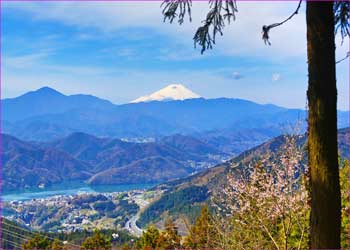 小仏峠から富士山