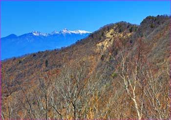 金ヶ岳と八ヶ岳