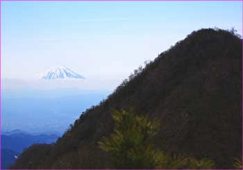 茅ヶ岳と富士