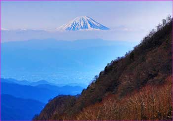 富士展望