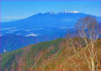 八ヶ岳展望