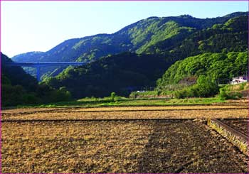 谷峨の田圃