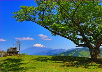 大野山山巓