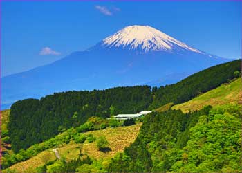 大野山富士