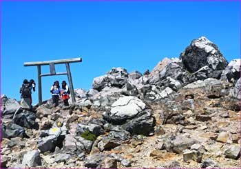 山頂鳥居で