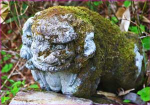 温泉神社狛犬