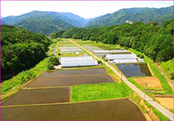 小淵沢辺りの田園