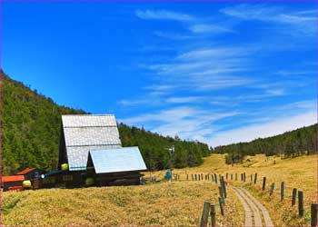 縞枯山荘