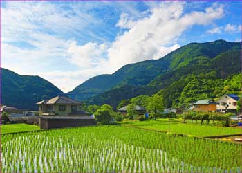 谷峨の景