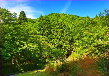 大滝橋登山口