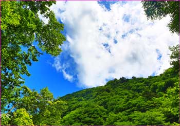 夏雲湧く