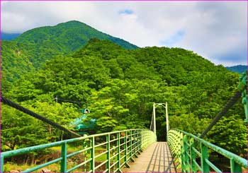 西沢出合の吊橋