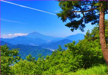 百蔵山山頂から富士山