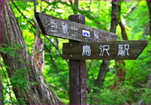 鳥沢駅分岐