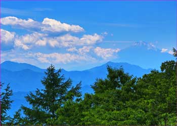 扇山から富士山