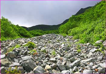 途中の涸沢