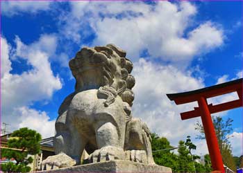 鶴岡八幡宮鳥居の狛犬