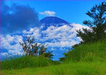 矢倉岳から富士山