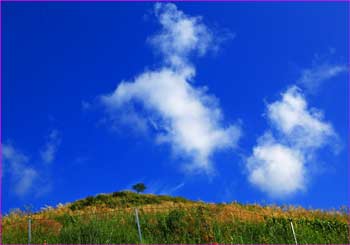 雲わく牧場