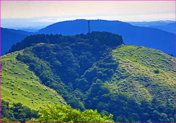 大野山東展望