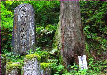 大崎登山口