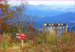 峠道表示