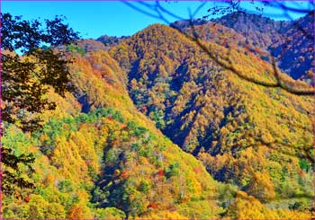 丸川尾根の秋