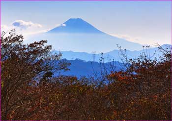 富士展望