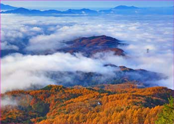 唐松尾根雲明ける