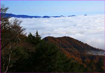 奥多摩も雲海に