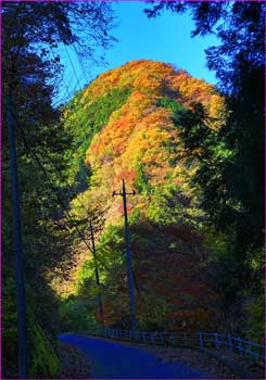 相沢の秋山