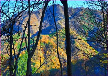 晩秋の山