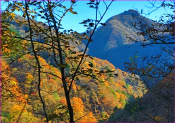 黄昏秋景