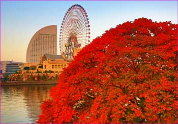 晩秋の遊園地