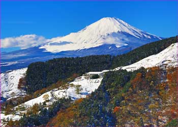 牧場の富士山