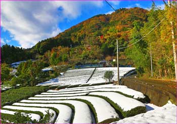 市間も雪が