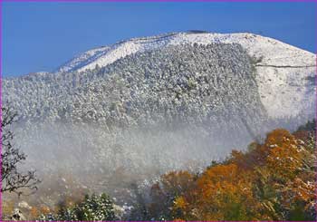 雪明けの大野山