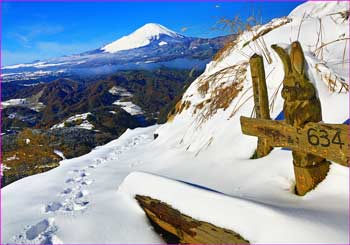 富士展望