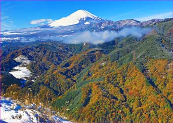 富士山展望