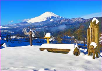 大野山山頂