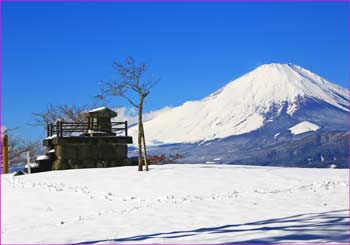 大野山から富士山