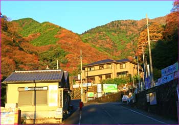 大山ケーブル駅辺り