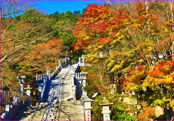 阿夫利神社下社参道