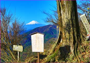 富士見台